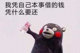 滨州专业讨债公司有哪些核心服务？